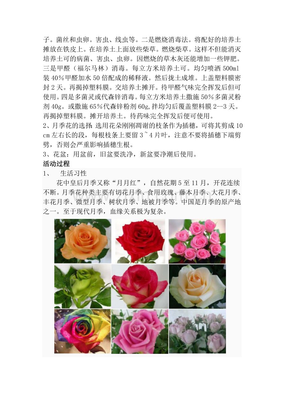 迷你花卉.doc_第2页