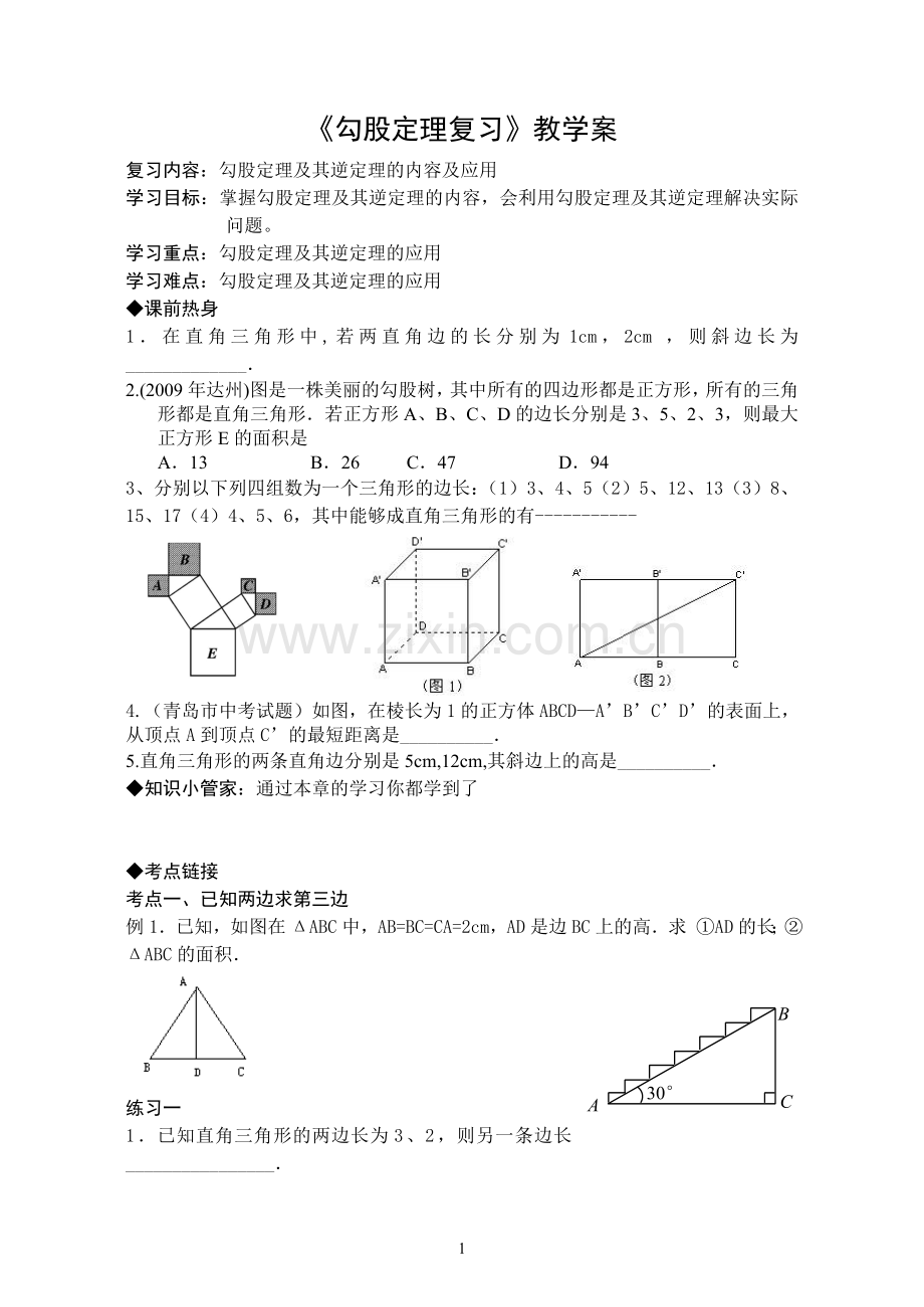 《勾股定理复习》教学案.doc_第1页