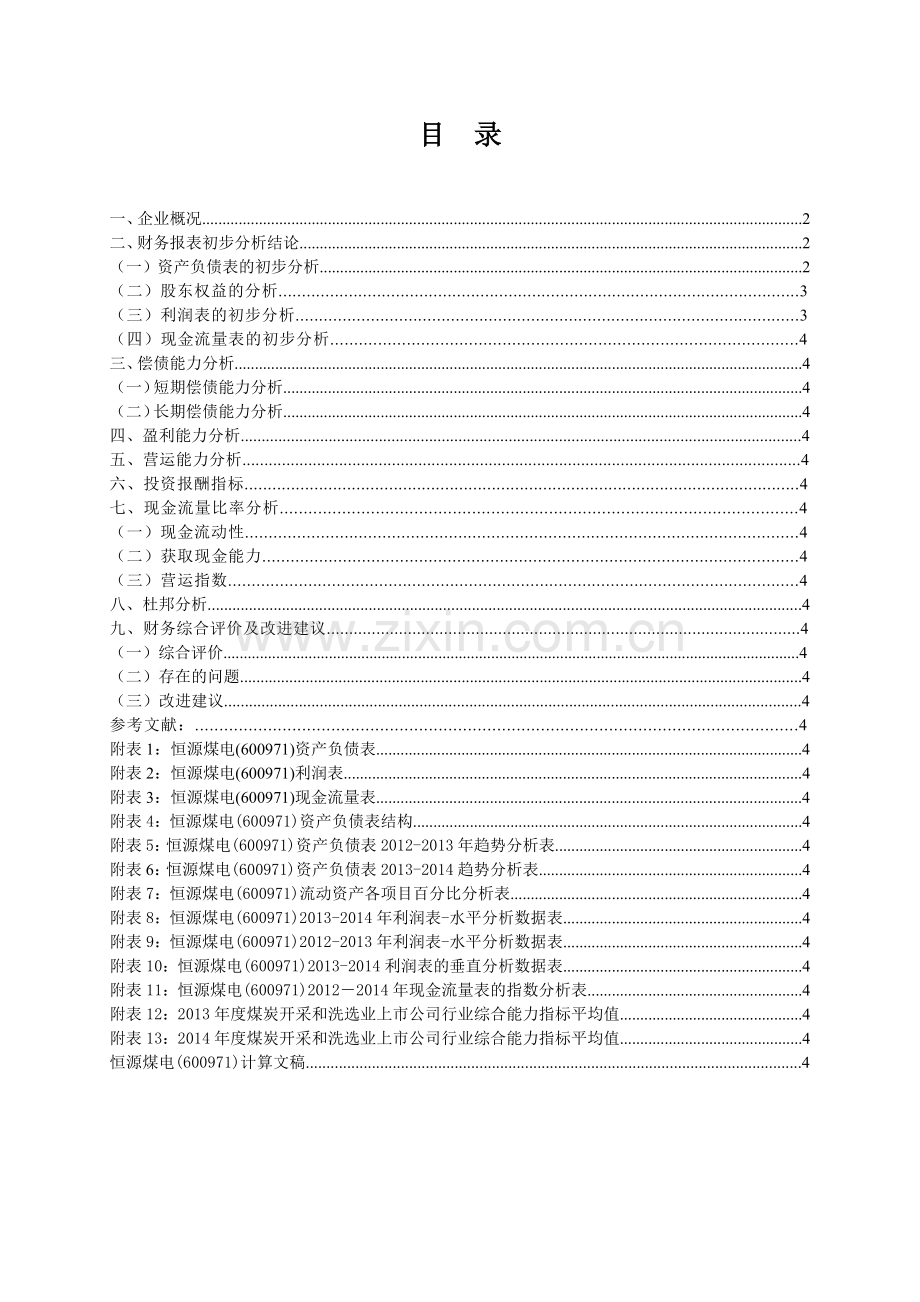 煤电股份有限公司财务报表分析.docx_第1页