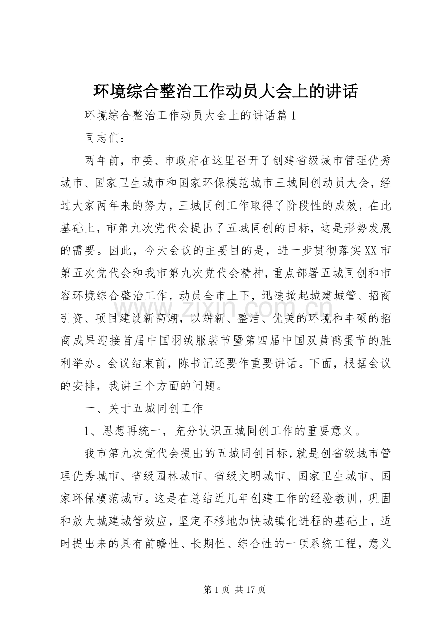 环境综合整治工作动员大会上的讲话发言.docx_第1页