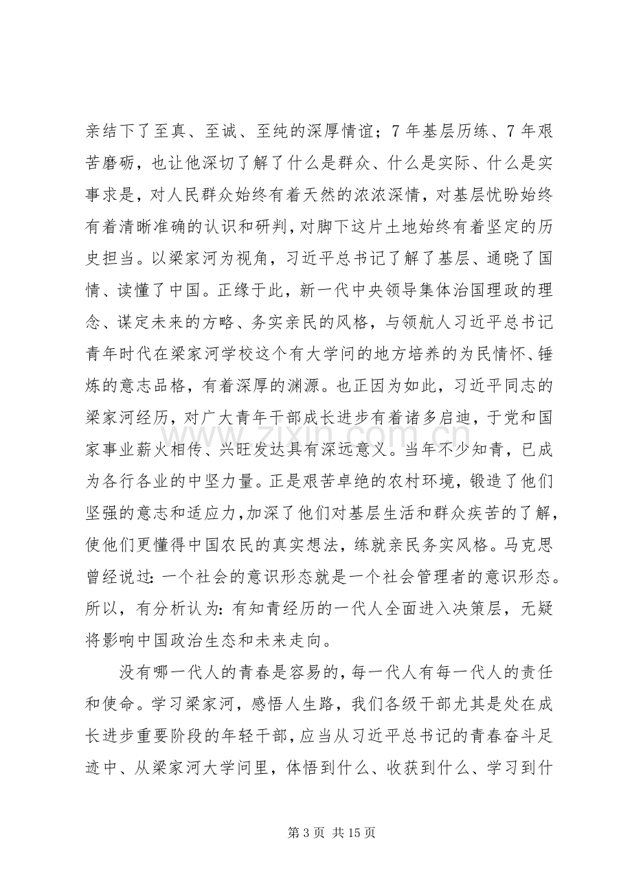 XX年学习宣传《梁家河》座谈会讲话发言稿2篇.docx_第3页