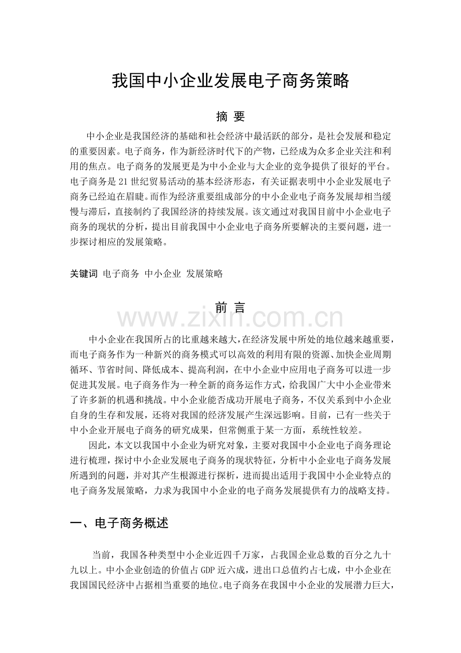 我国中小企业发展电子商务策略.doc_第3页