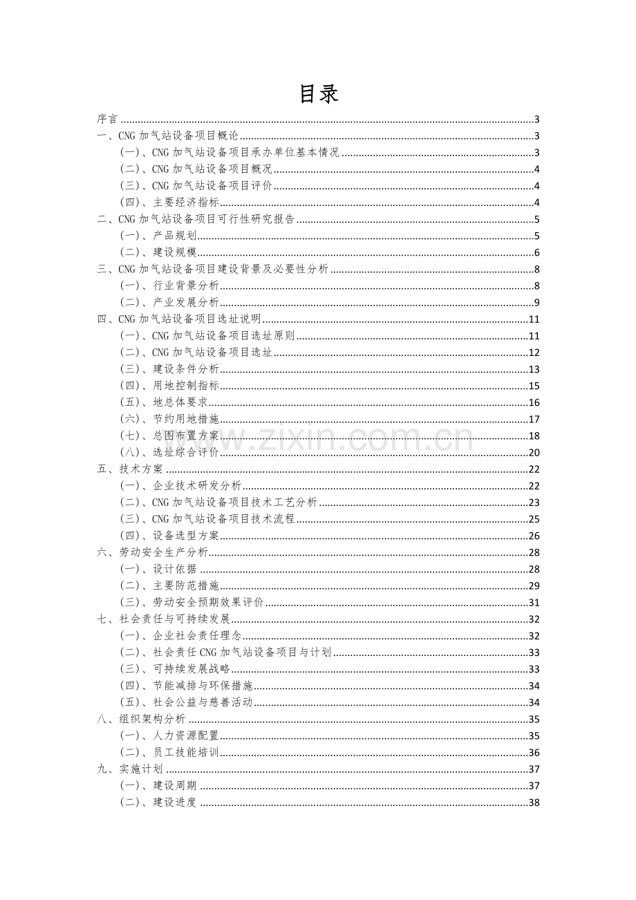 CNG加气站设备项目可行性分析报告.docx_第2页