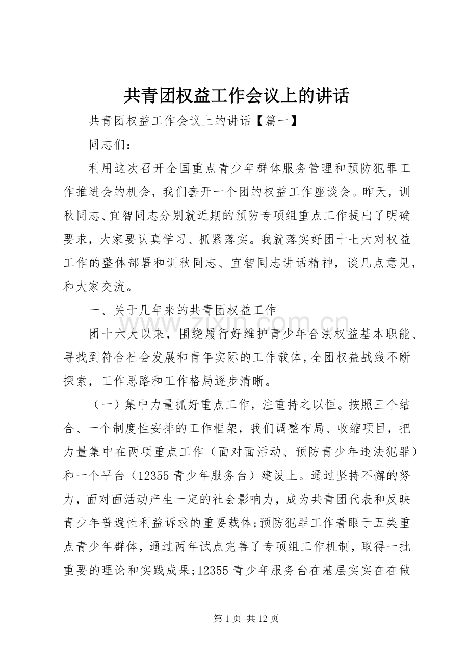 共青团权益工作会议上的讲话发言.docx_第1页