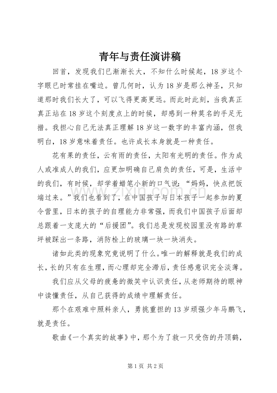 青年与责任演讲致辞.docx_第1页