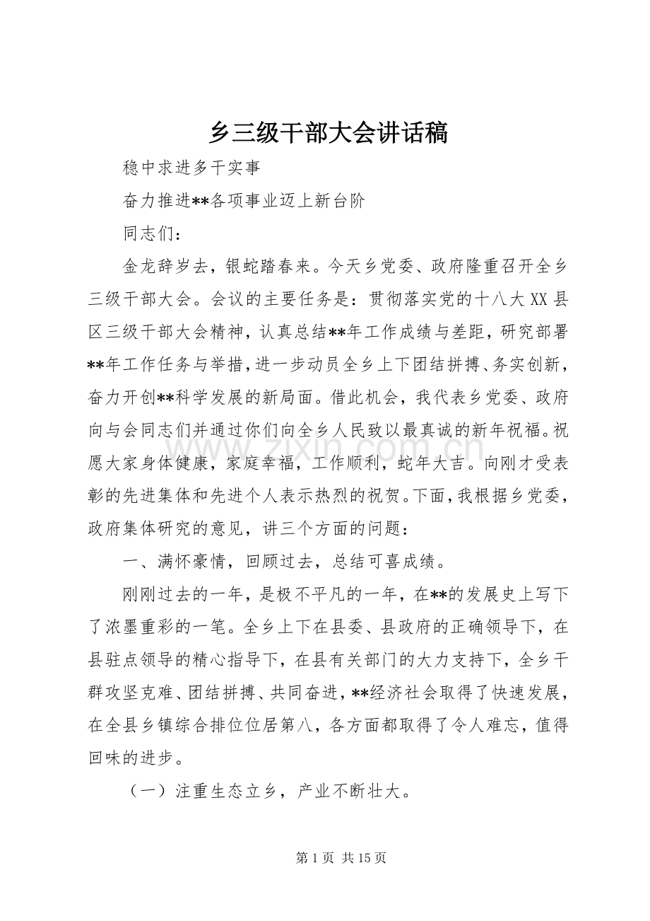 乡三级干部大会讲话发言稿.docx_第1页