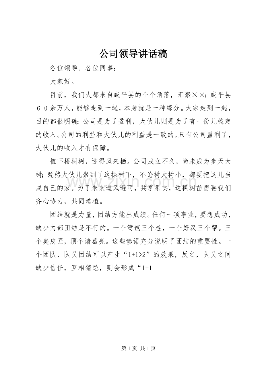 公司领导讲话发言稿_.docx_第1页