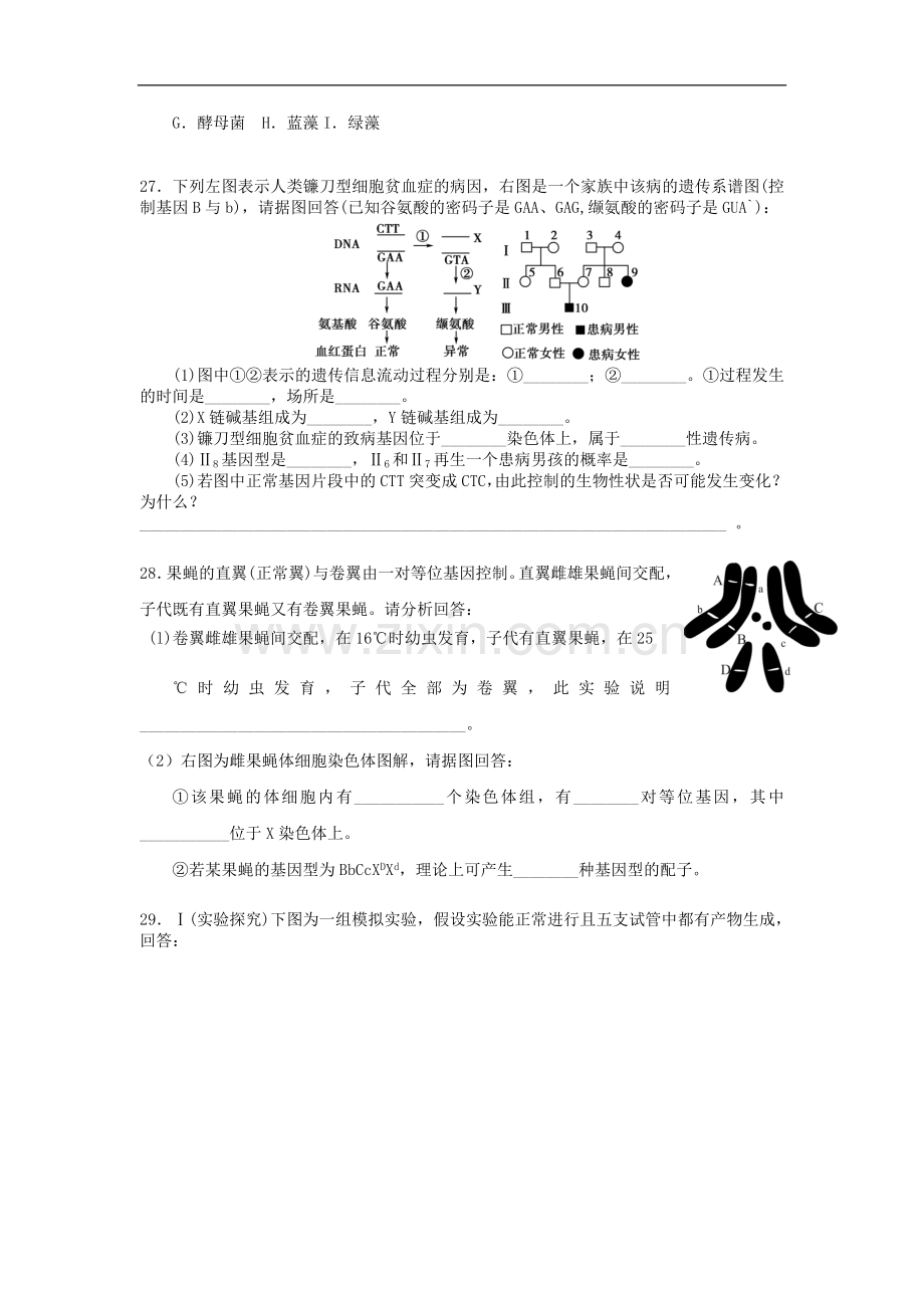 广东省汕头市潮师高级中学2012-2013学年高一理综下学期第二次(6月)月考试题(生物部分)新人教版.doc_第3页