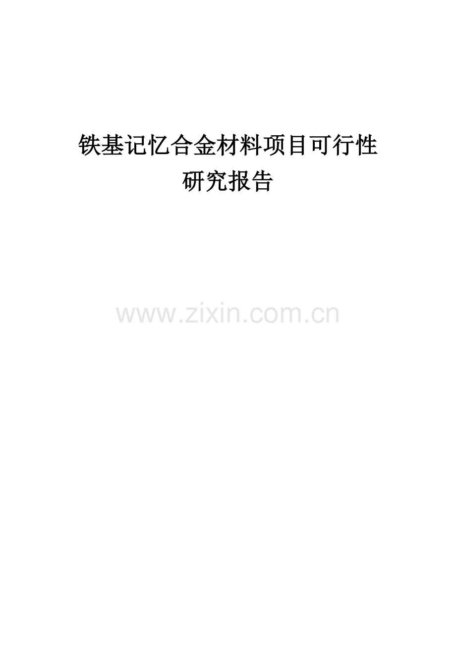 铁基记忆合金材料项目可行性研究报告.docx_第1页