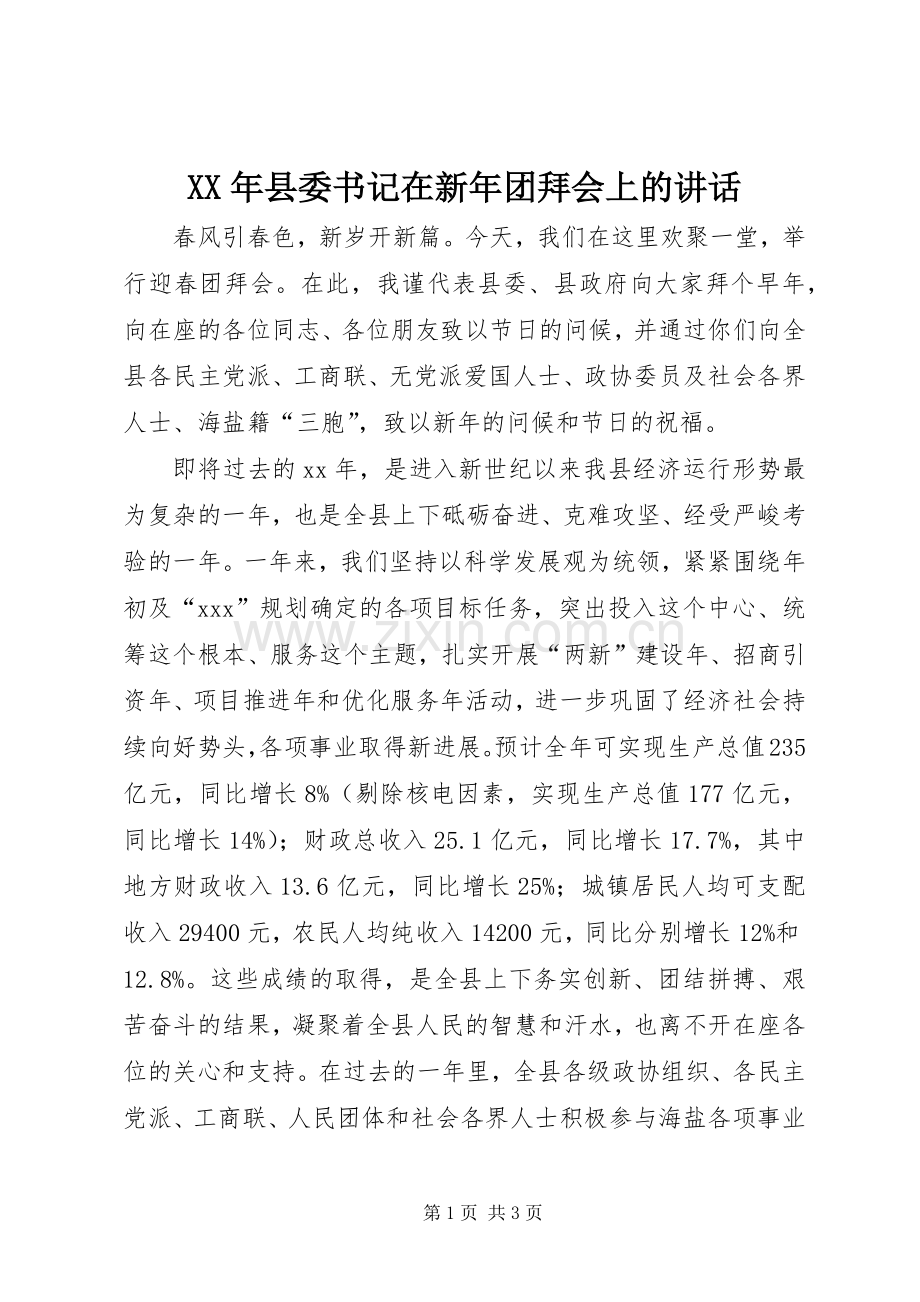 XX年县委书记在新年团拜会上的讲话发言_1.docx_第1页