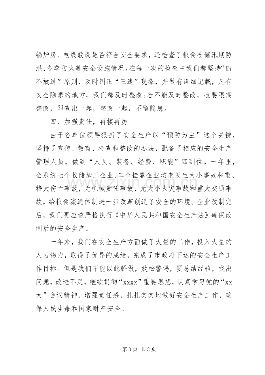 粮食局安全生产总结及工作计划(2).docx_第3页