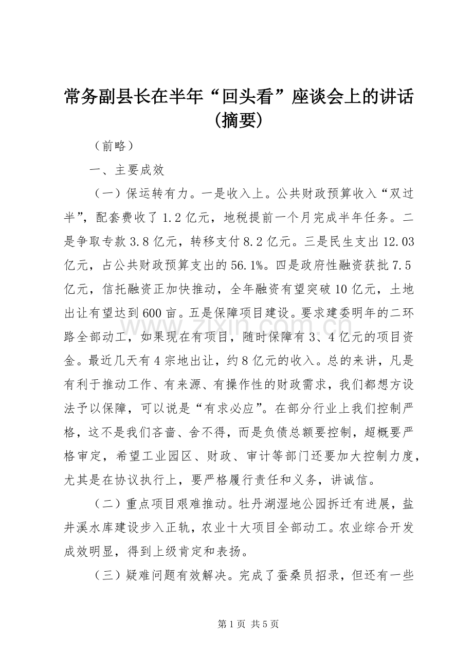 常务副县长在半年“回头看”座谈会上的讲话发言(摘要)_1.docx_第1页