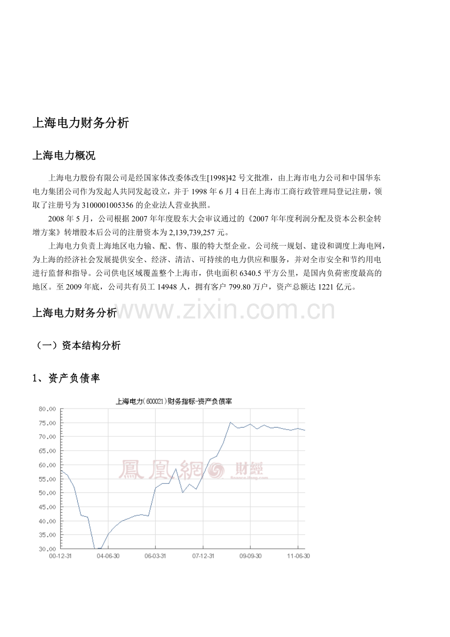 某电力公司财务分析.docx_第3页