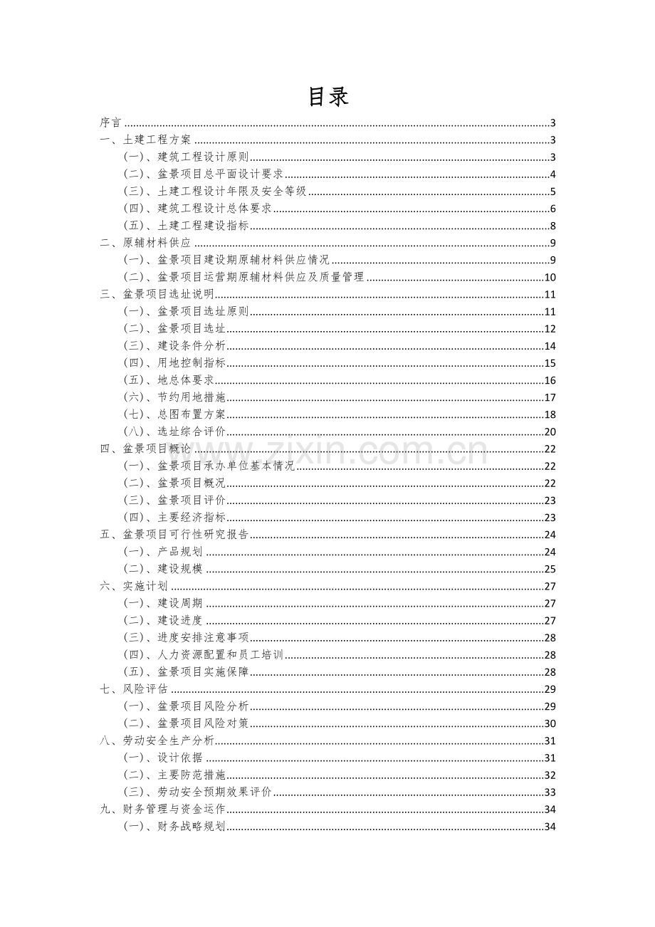 盆景项目商业计划书.docx_第2页