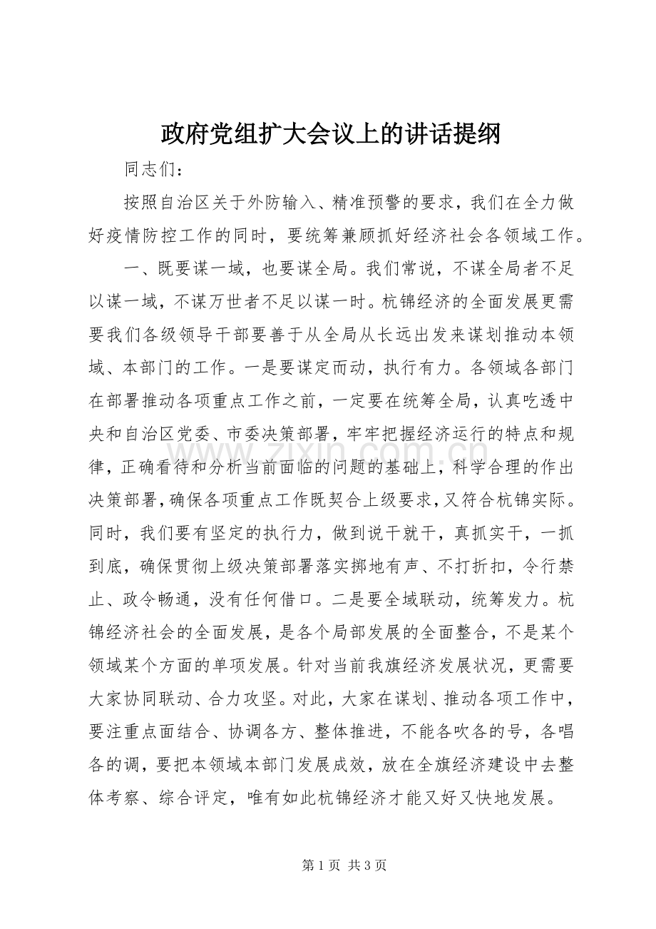 政府党组扩大会议上的讲话发言提纲.docx_第1页