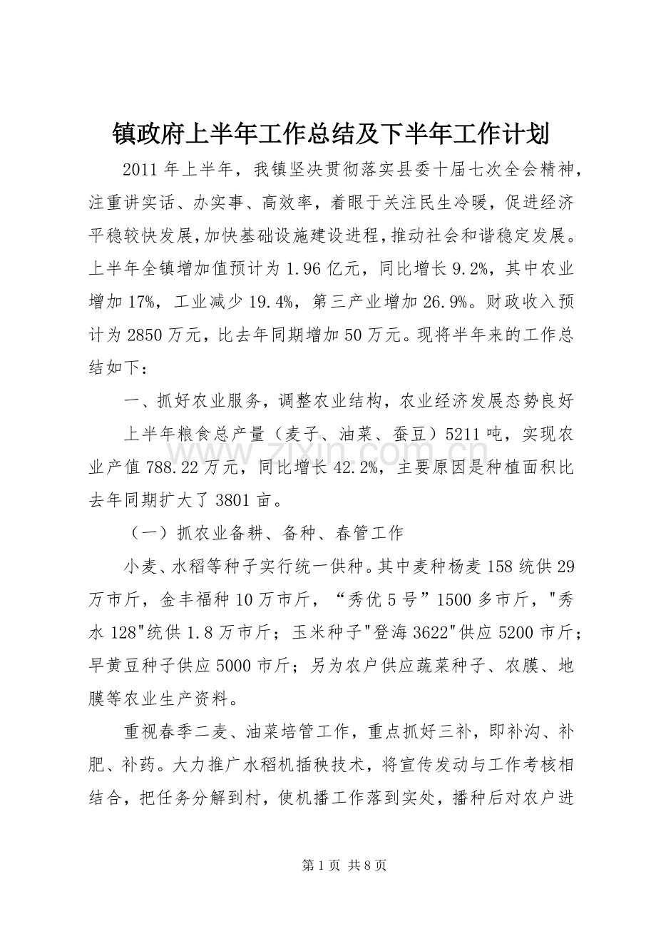 镇政府上半年工作总结及下半年工作计划(2).docx_第1页