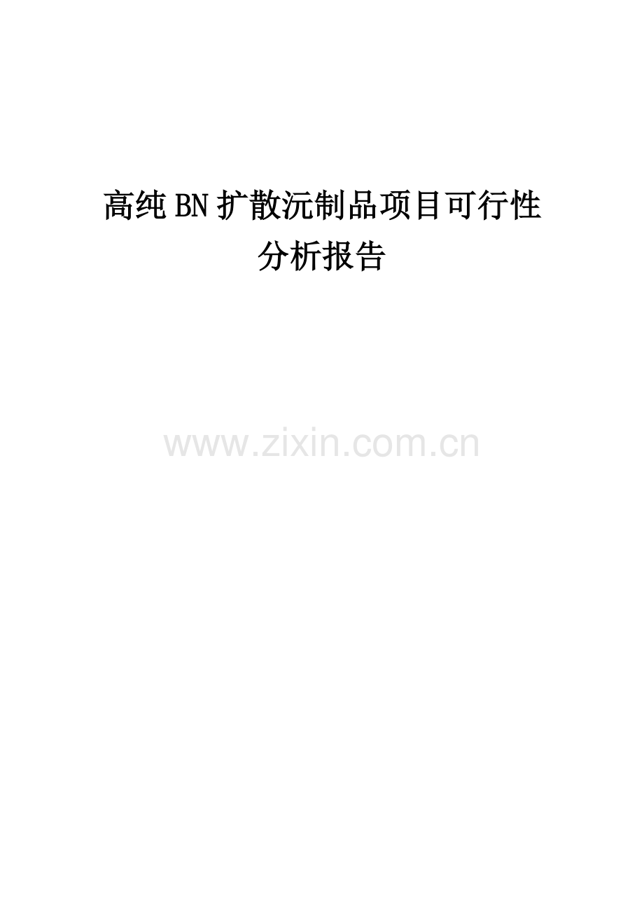 高纯BN扩散沅制品项目可行性分析报告.docx_第1页