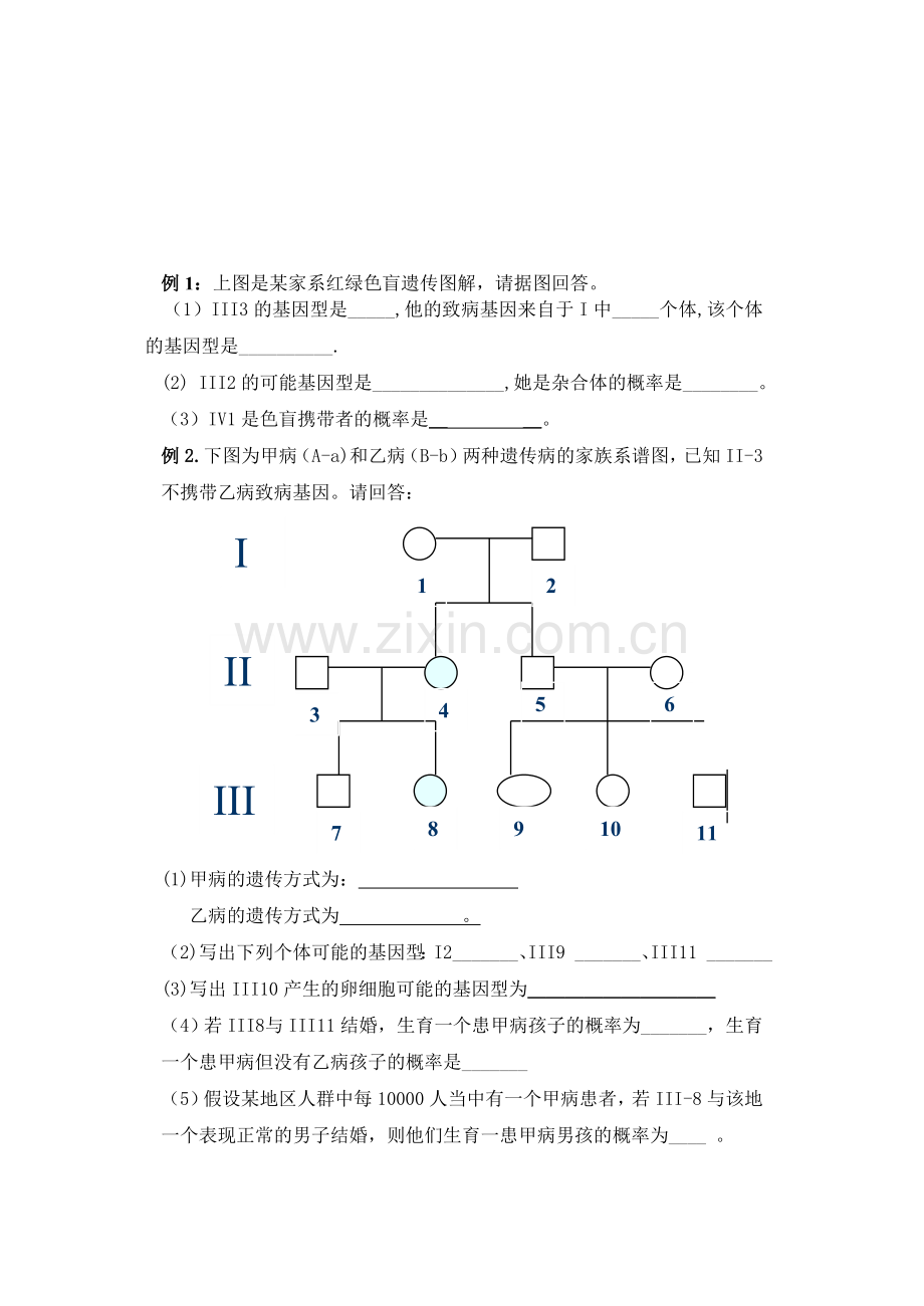 第3节伴性遗传.doc_第2页