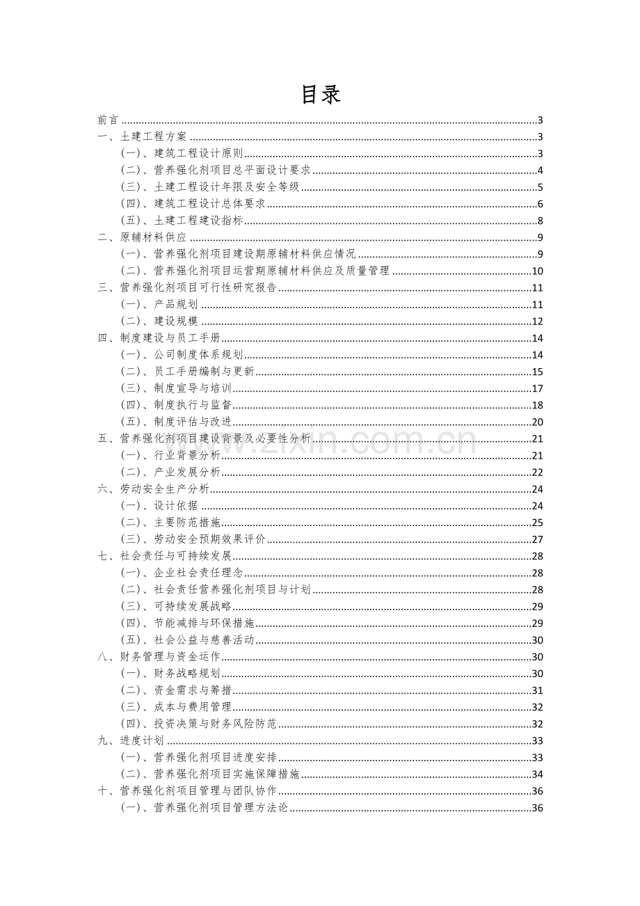 营养强化剂项目可行性研究报告.docx_第2页