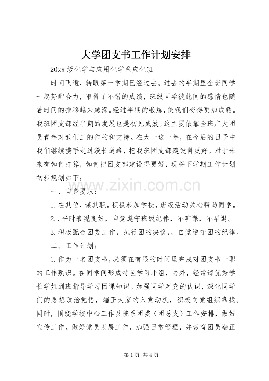 大学团支书工作计划安排.docx_第1页