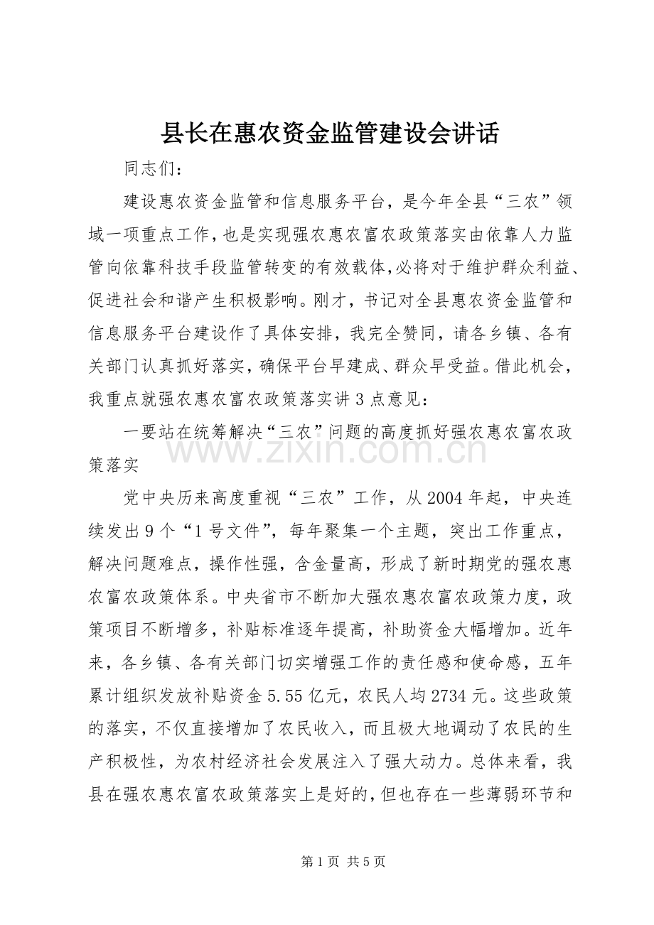 县长在惠农资金监管建设会讲话发言.docx_第1页