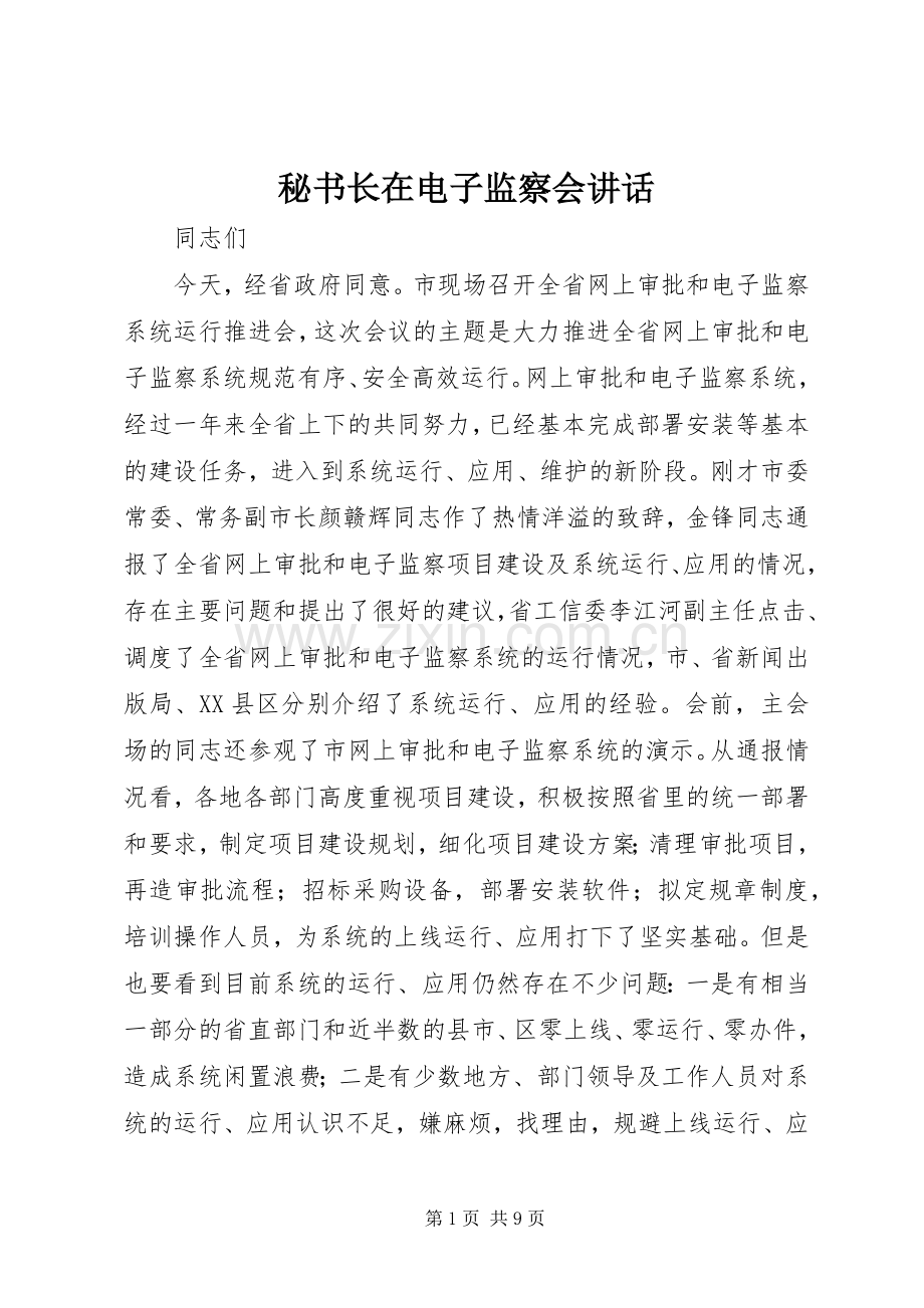 秘书长在电子监察会讲话发言.docx_第1页