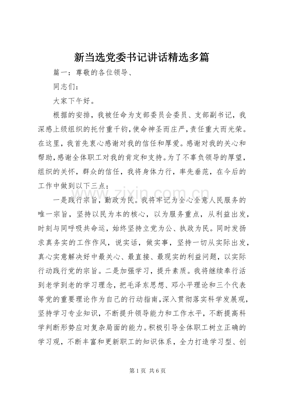 新当选党委书记讲话发言多篇.docx_第1页