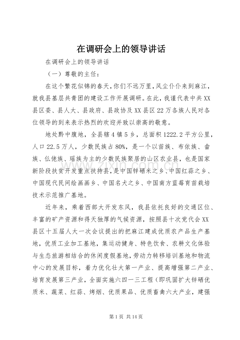 在调研会上的领导讲话发言.docx_第1页