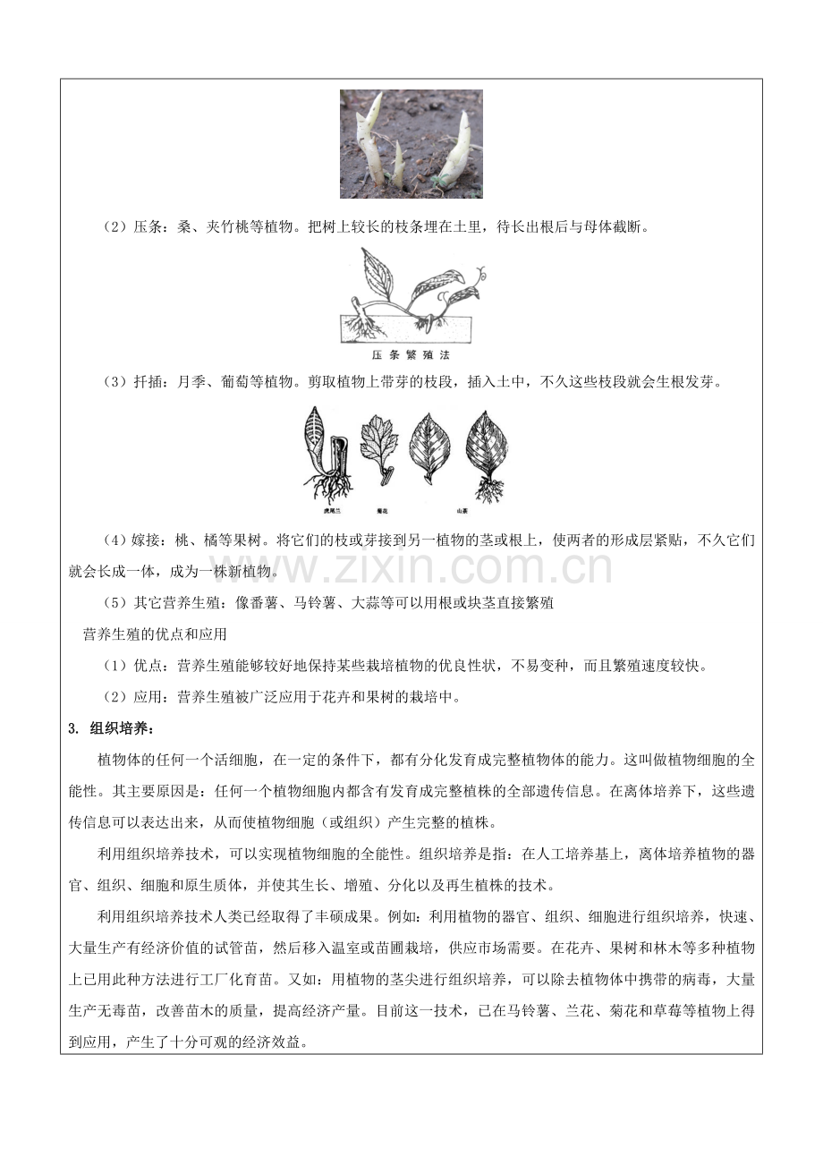 七年级科学下册 第一章 代代相传的生命 植物生殖方式的多样性、细菌和真菌的繁殖教案 浙教版-浙教版初中七年级下册自然科学教案.doc_第3页