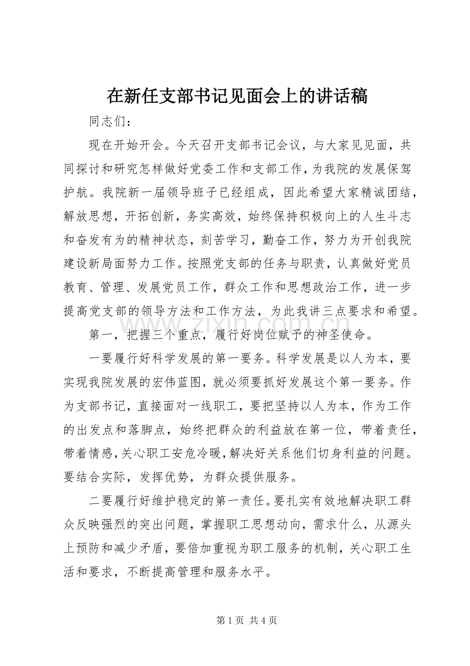 在新任支部书记见面会上的的讲话稿.docx_第1页