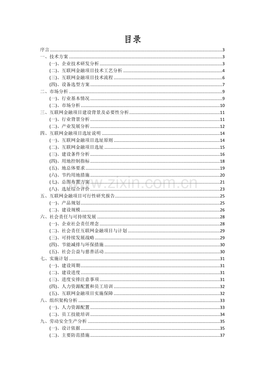 互联网金融项目投资分析及可行性报告.docx_第2页