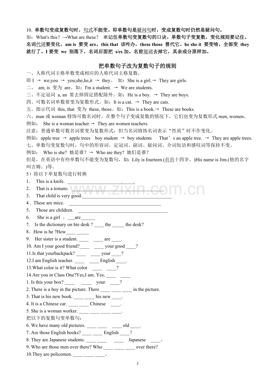 可数名词单数变复数规则及练习.doc_第3页