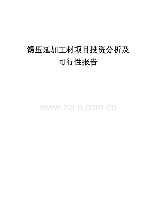 锡压延加工材项目投资分析及可行性报告.docx