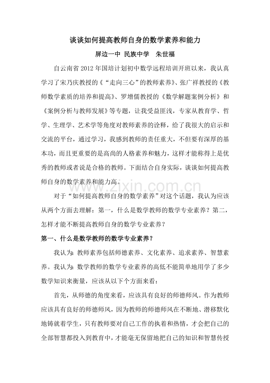 谈谈如何提高教师自身的数学素养.doc_第1页