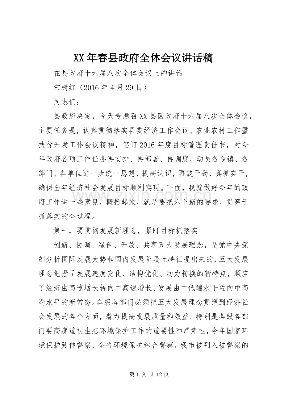 XX年春县政府全体会议讲话发言稿.docx_第1页