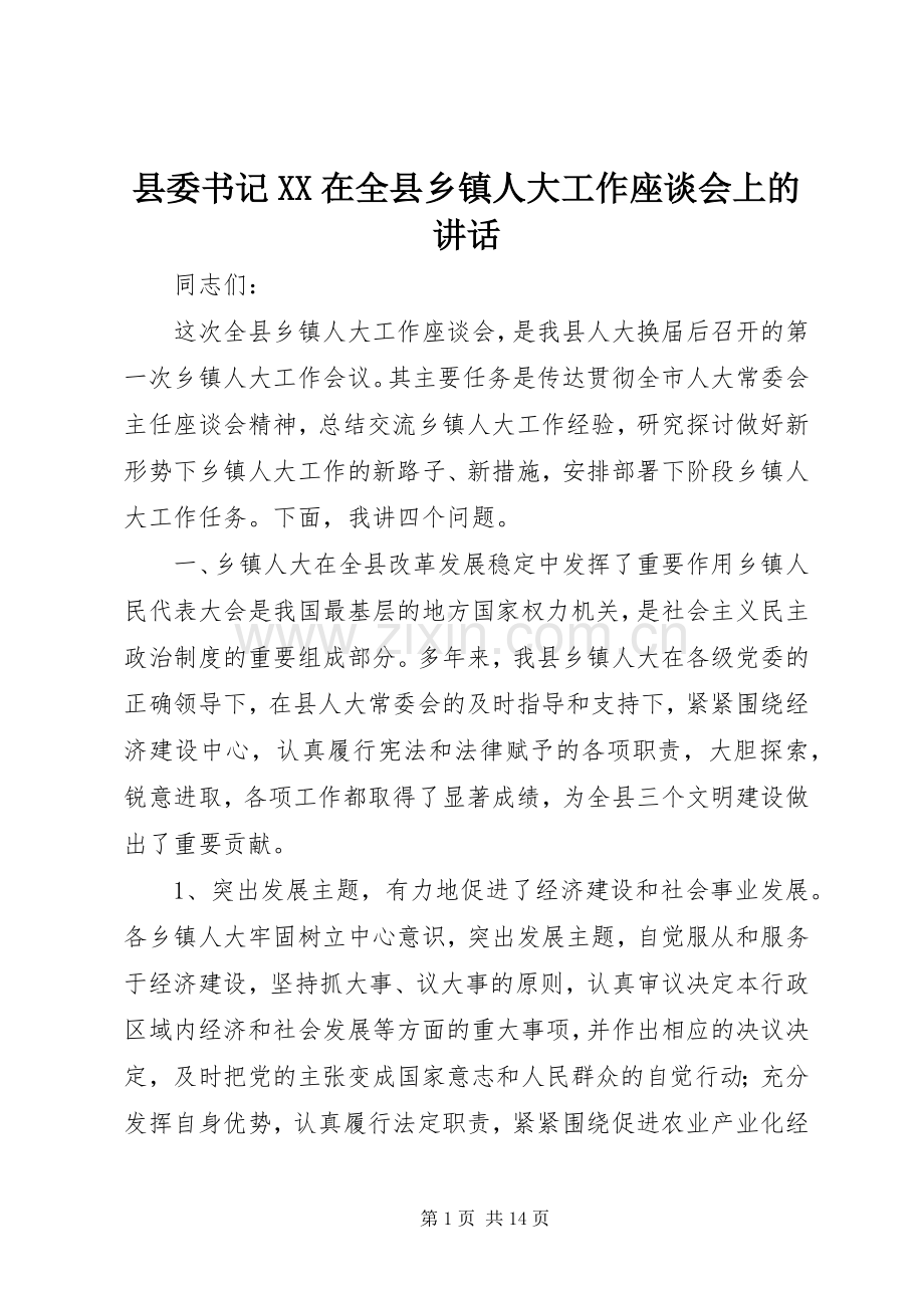 县委书记XX在全县乡镇人大工作座谈会上的讲话发言_1.docx_第1页