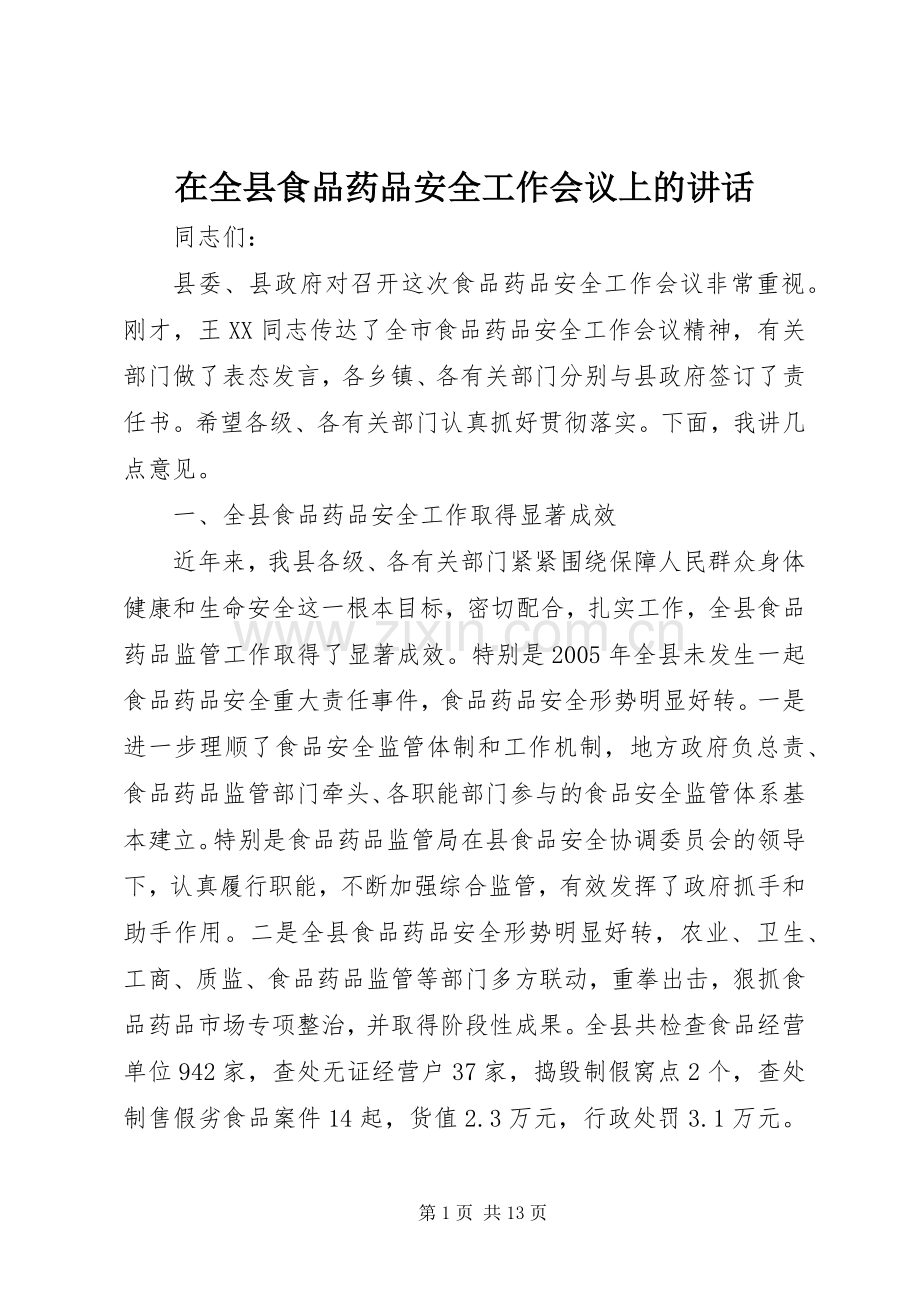 在全县食品药品安全工作会议上的讲话发言_1.docx_第1页