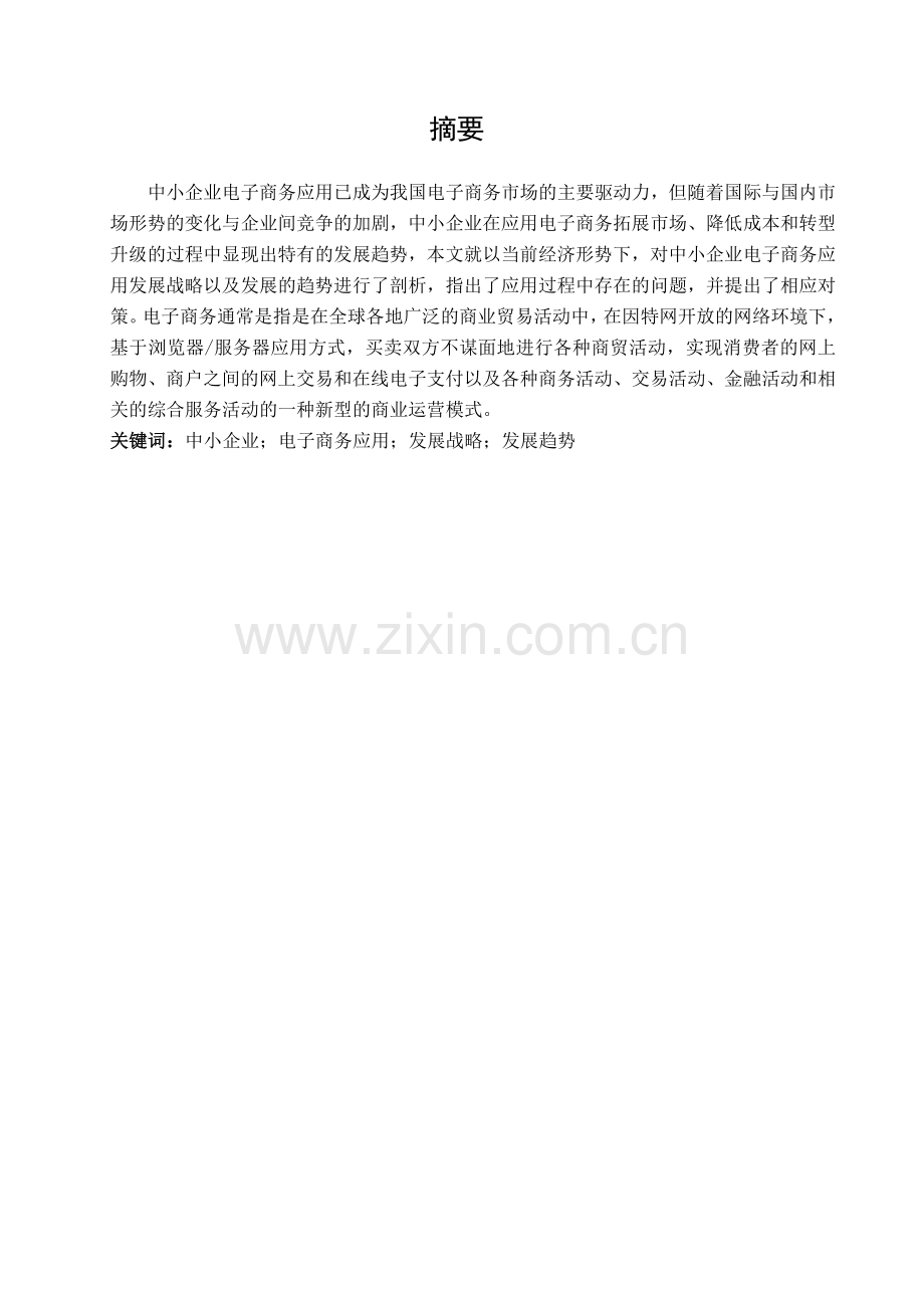 中小企业电子商务发展战略分析.doc_第2页