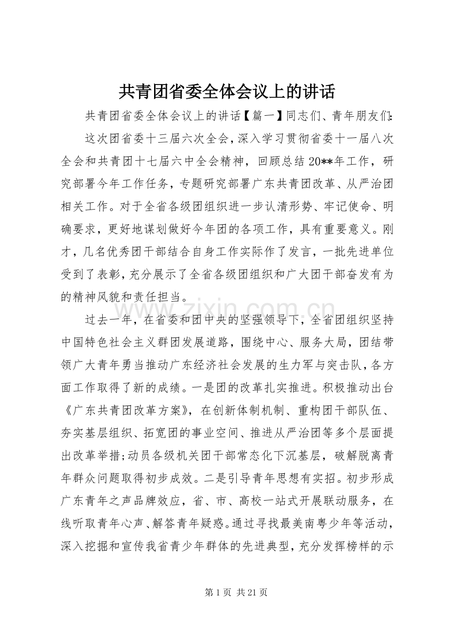 共青团省委全体会议上的讲话发言.docx_第1页