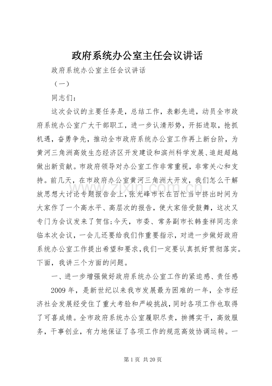 政府系统办公室主任会议讲话发言.docx_第1页