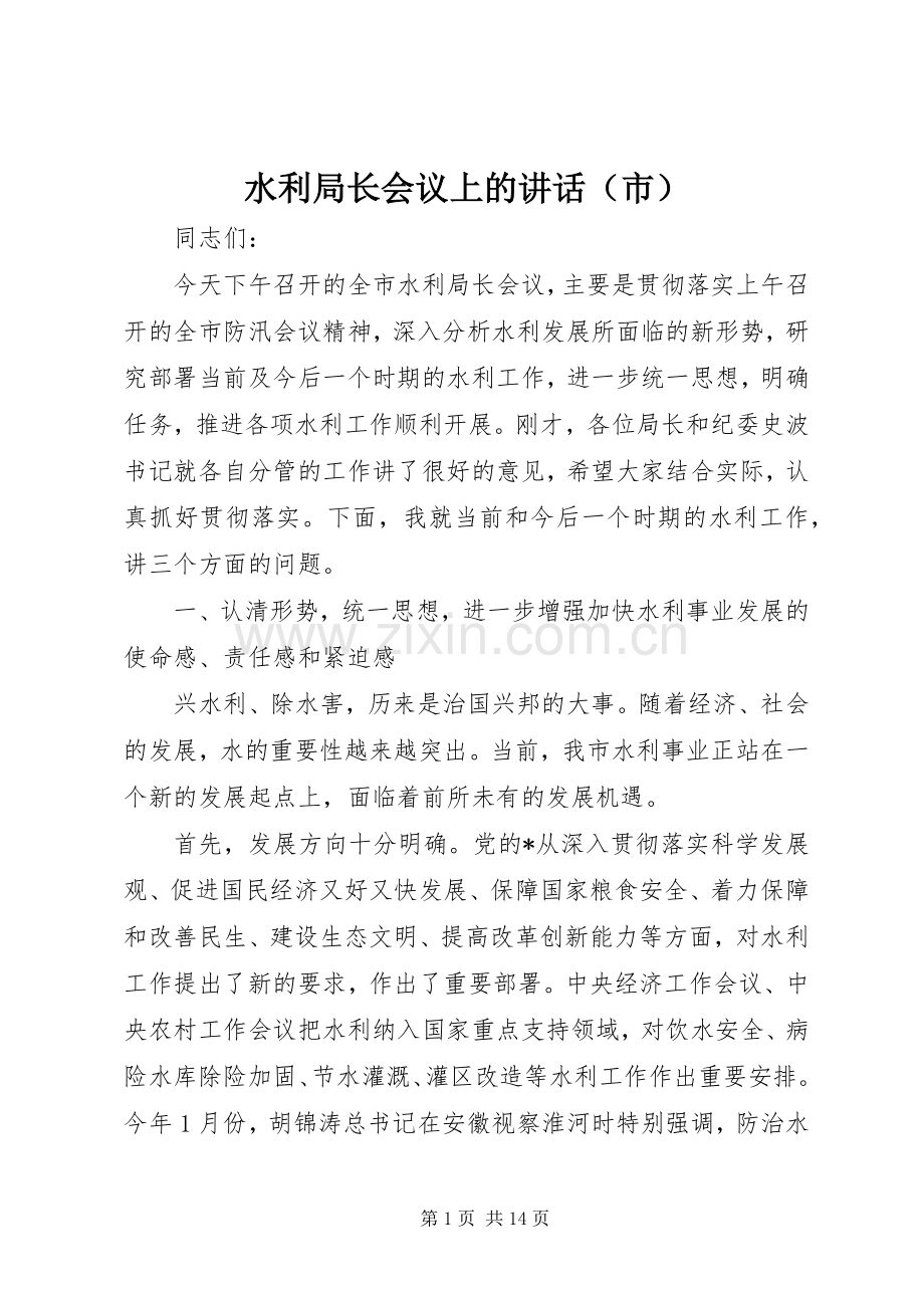 水利局长会议上的讲话发言（市）.docx_第1页