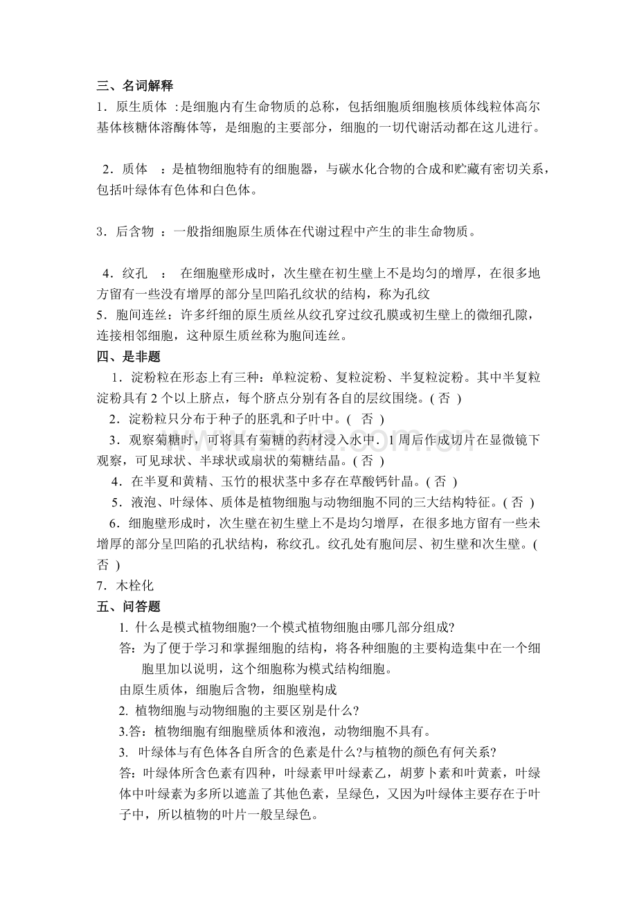 药用植物学复习题.doc_第3页