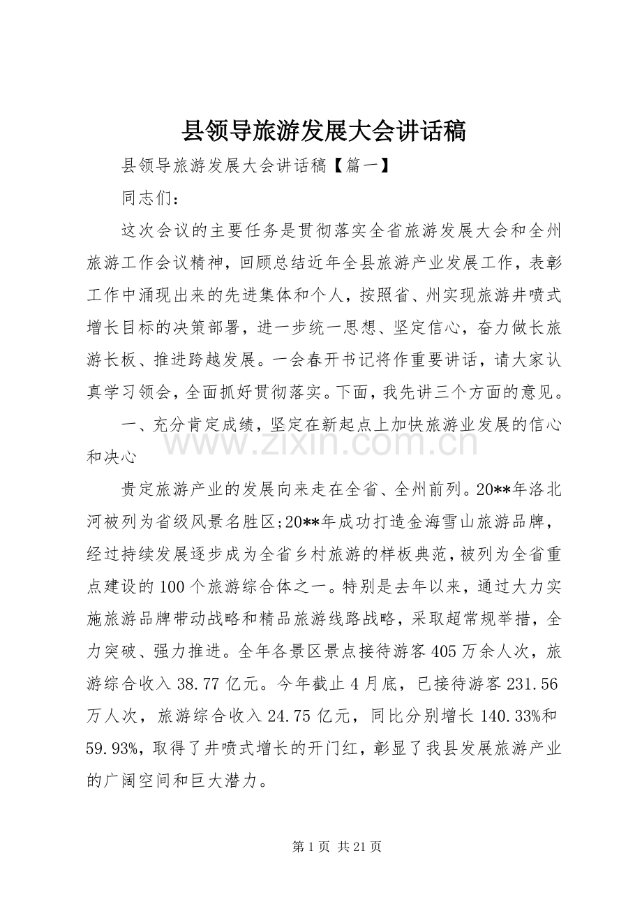 县领导旅游发展大会讲话发言稿.docx_第1页