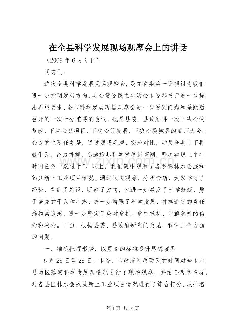 在全县科学发展现场观摩会上的讲话发言.docx_第1页