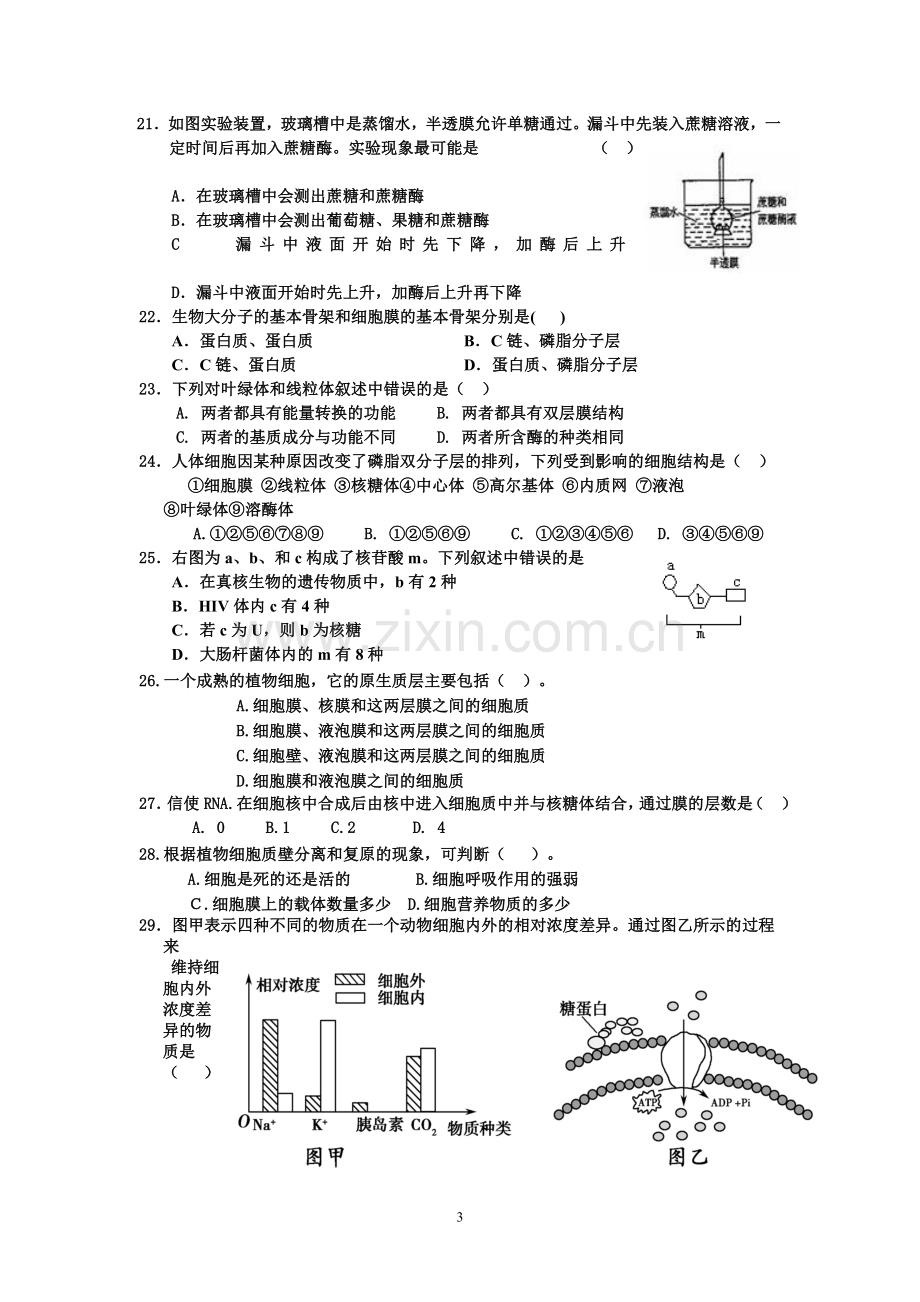 宾县一中高一学年第三次月考生物试题.doc_第3页