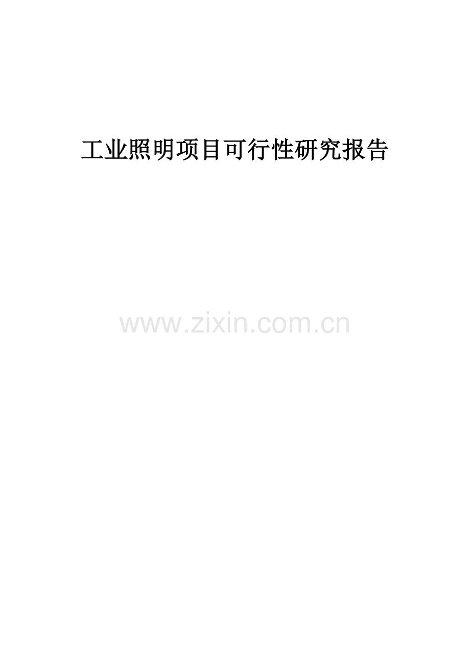 工业照明项目可行性研究报告.docx_第1页