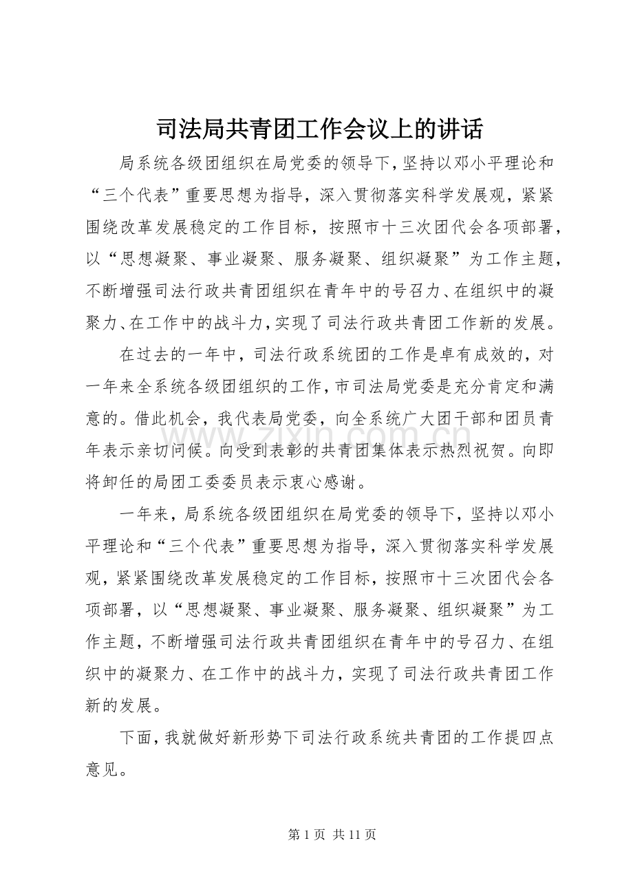 司法局共青团工作会议上的讲话发言.docx_第1页