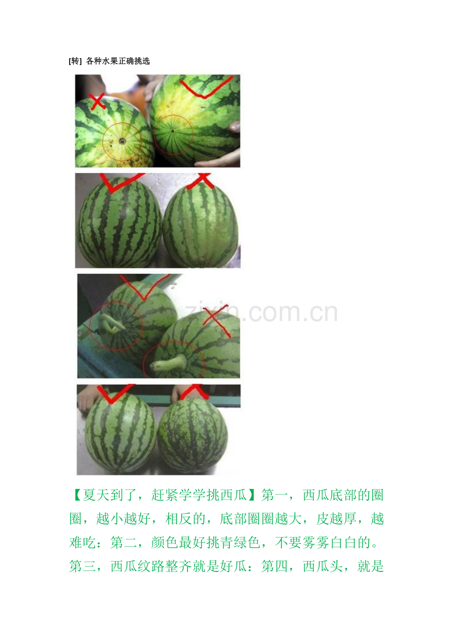 各种水果的挑选.docx_第1页