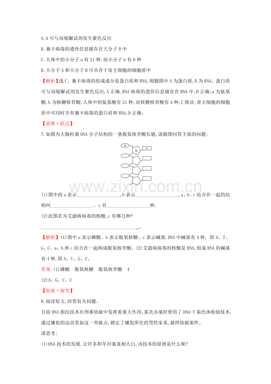 2020版新教材高中生物课堂检测素养达标25核酸是遗传信息的携带者（含解析）新人教版必修1.doc_第3页