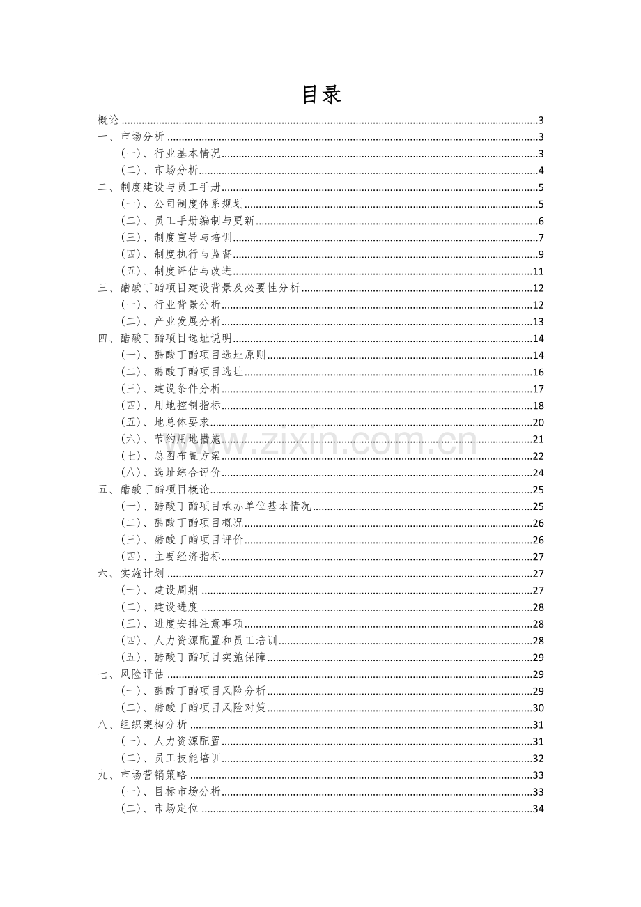 醋酸丁酯项目可行性研究报告.docx_第2页